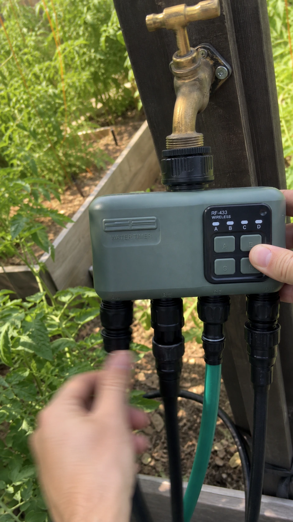 Johgee 4-zone smart water timer connected beside tomato plants in a UK garden